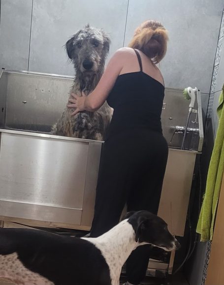 Ferox beim baden